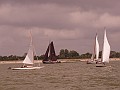 Lemsterbokking08 (100)